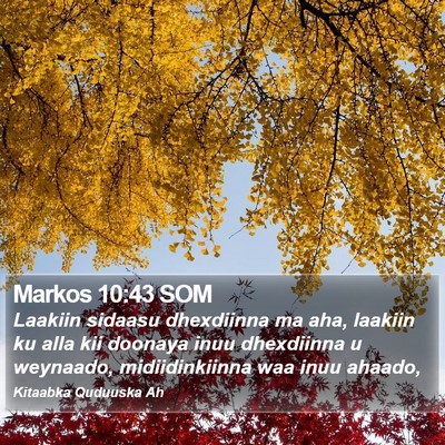 Markos 10:43 SOM Bible Verse Image