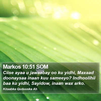 Markos 10:51 SOM Bible Verse Image