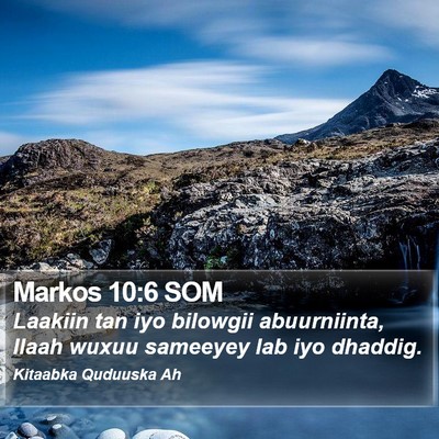 Markos 10:6 SOM Bible Verse Image