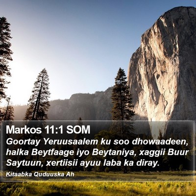 Markos 11:1 SOM Bible Verse Image