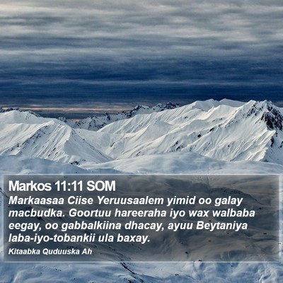 Markos 11:11 SOM Bible Verse Image