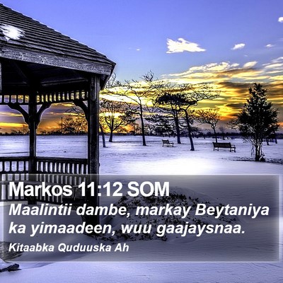 Markos 11:12 SOM Bible Verse Image