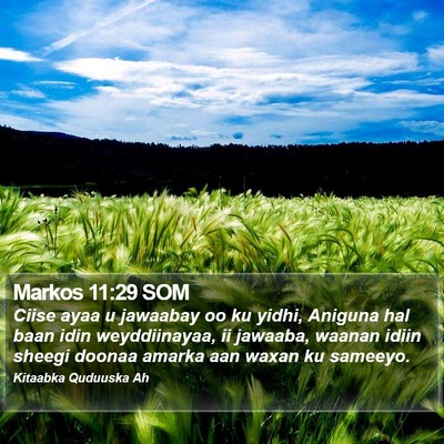 Markos 11:29 SOM Bible Verse Image