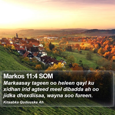 Markos 11:4 SOM Bible Verse Image