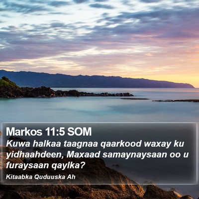 Markos 11:5 SOM Bible Verse Image