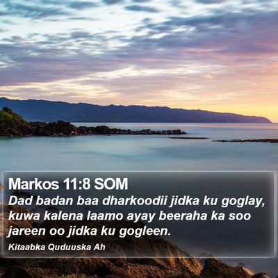 Markos 11:8 SOM Bible Verse Image