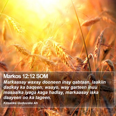 Markos 12:12 SOM Bible Verse Image