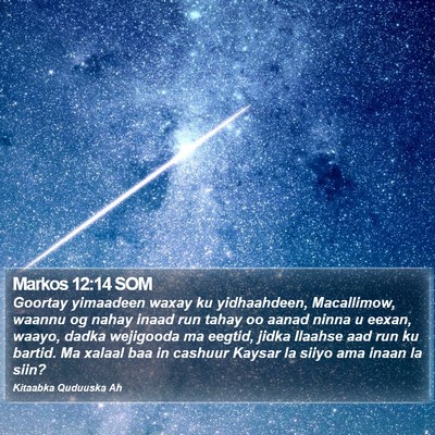 Markos 12:14 SOM Bible Verse Image