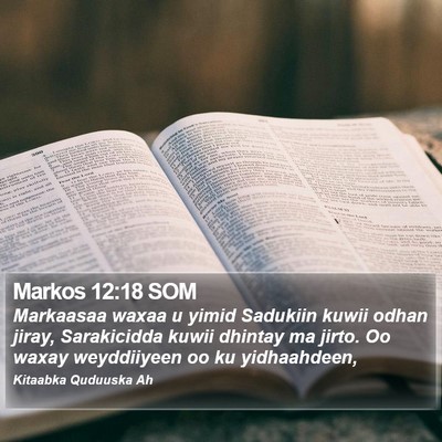 Markos 12:18 SOM Bible Verse Image