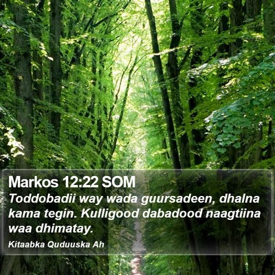 Markos 12:22 SOM Bible Verse Image