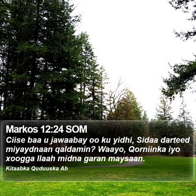 Markos 12:24 SOM Bible Verse Image