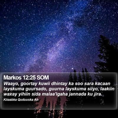 Markos 12:25 SOM Bible Verse Image