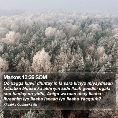 Markos 12:26 SOM Bible Verse Image