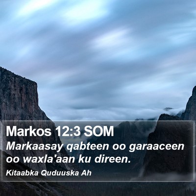 Markos 12:3 SOM Bible Verse Image