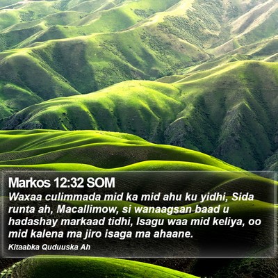 Markos 12:32 SOM Bible Verse Image