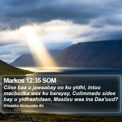 Markos 12:35 SOM Bible Verse Image