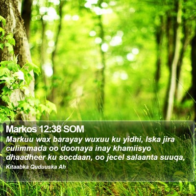 Markos 12:38 SOM Bible Verse Image