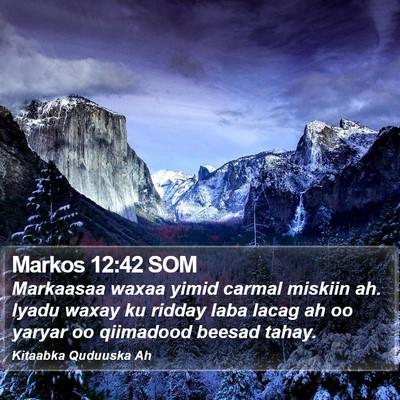Markos 12:42 SOM Bible Verse Image