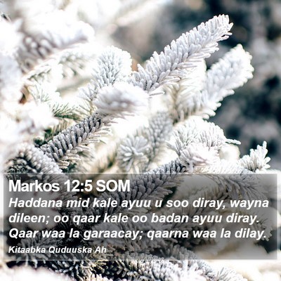 Markos 12:5 SOM Bible Verse Image