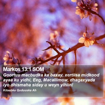 Markos 13:1 SOM Bible Verse Image