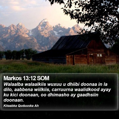 Markos 13:12 SOM Bible Verse Image