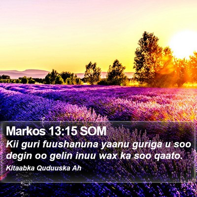 Markos 13:15 SOM Bible Verse Image