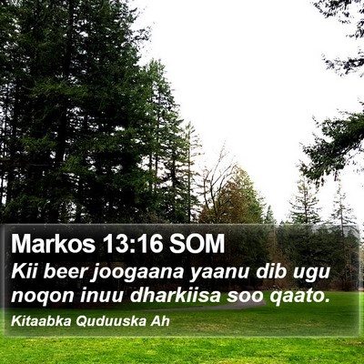 Markos 13:16 SOM Bible Verse Image