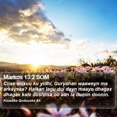 Markos 13:2 SOM Bible Verse Image