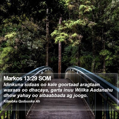Markos 13:29 SOM Bible Verse Image