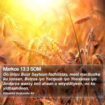 Markos 13:3 SOM Bible Verse Image