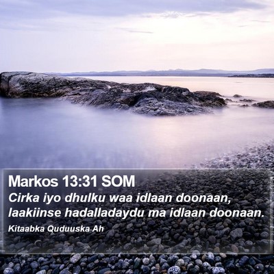 Markos 13:31 SOM Bible Verse Image