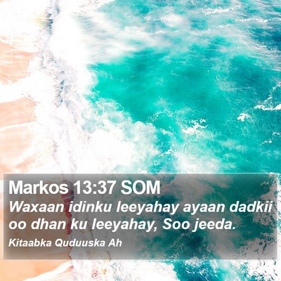 Markos 13:37 SOM Bible Verse Image