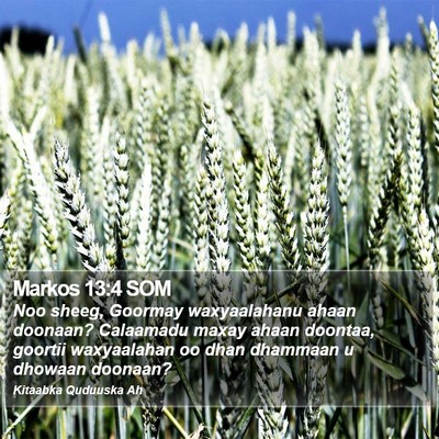 Markos 13:4 SOM Bible Verse Image