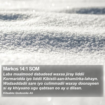 Markos 14:1 SOM Bible Verse Image