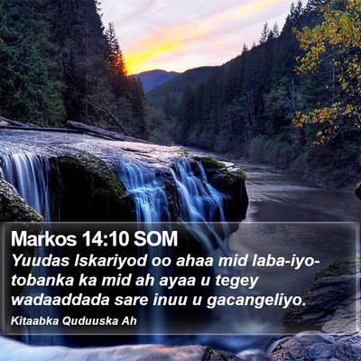 Markos 14:10 SOM Bible Verse Image