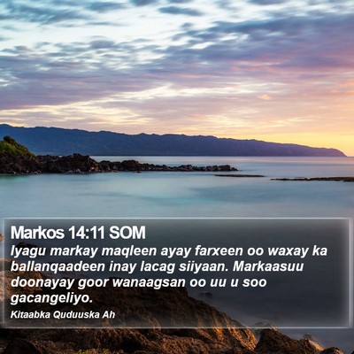 Markos 14:11 SOM Bible Verse Image