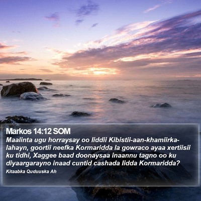 Markos 14:12 SOM Bible Verse Image