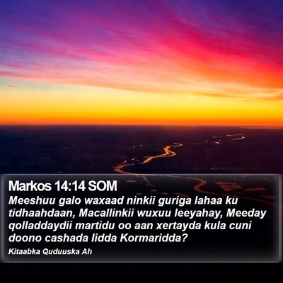 Markos 14:14 SOM Bible Verse Image