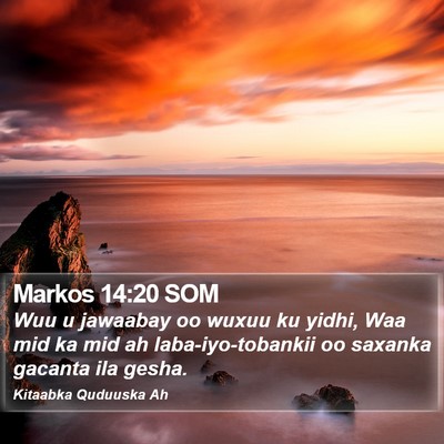 Markos 14:20 SOM Bible Verse Image