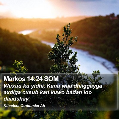 Markos 14:24 SOM Bible Verse Image