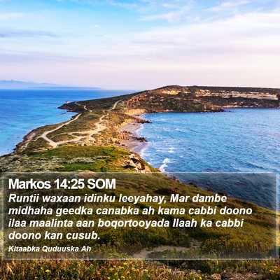 Markos 14:25 SOM Bible Verse Image