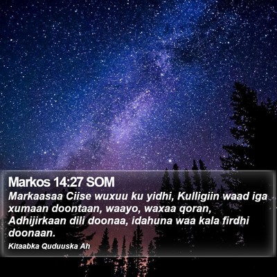 Markos 14:27 SOM Bible Verse Image