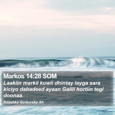 Markos 14:28 SOM Bible Verse Image