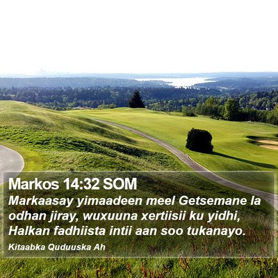 Markos 14:32 SOM Bible Verse Image