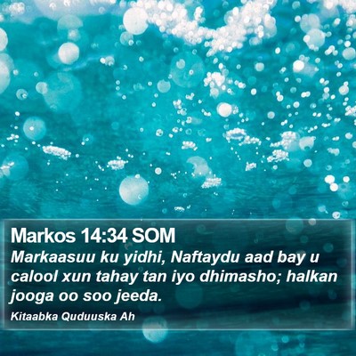 Markos 14:34 SOM Bible Verse Image