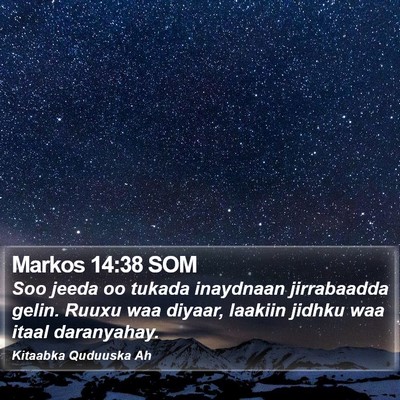 Markos 14:38 SOM Bible Verse Image