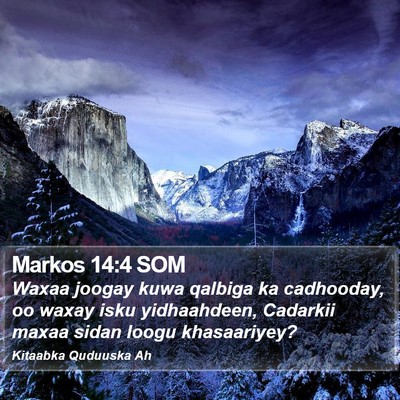Markos 14:4 SOM Bible Verse Image
