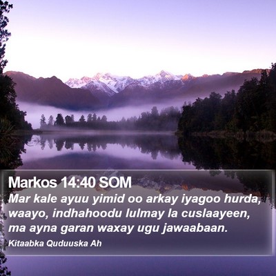 Markos 14:40 SOM Bible Verse Image