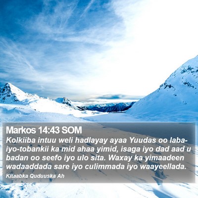 Markos 14:43 SOM Bible Verse Image