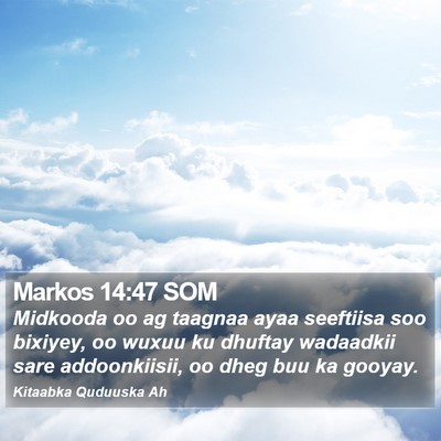 Markos 14:47 SOM Bible Verse Image